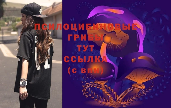 мдпв Покров