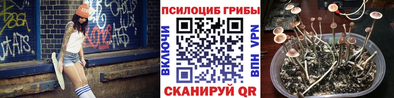 Псилоцибиновые грибы мухоморы  Каневская 